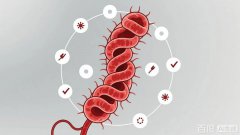 体检报告上“幽门螺杆菌阳性”？先别慌，这3件事得知道