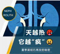 天越热，它越“疯”！夏季肾结石高发的秘密，藏在这些生活习惯里